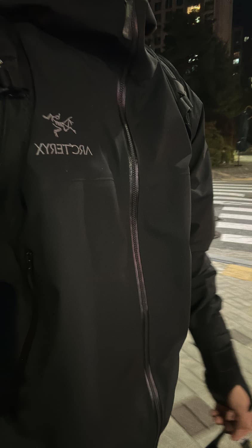 아크테릭스 베타 L 판매 상품이미지4