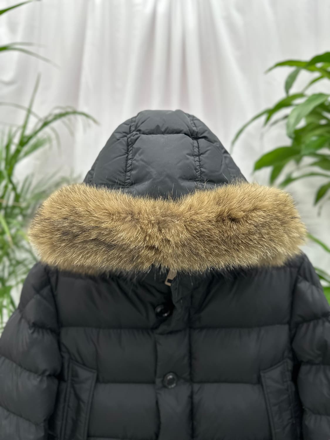 [정품]몽클레어 클루니 6 상품이미지2