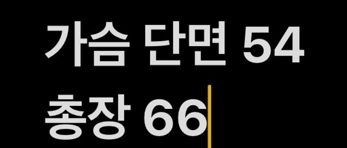 [정품/95,M] 뉴발란스 코치 바람막이 자켓 b16 상품이미지8