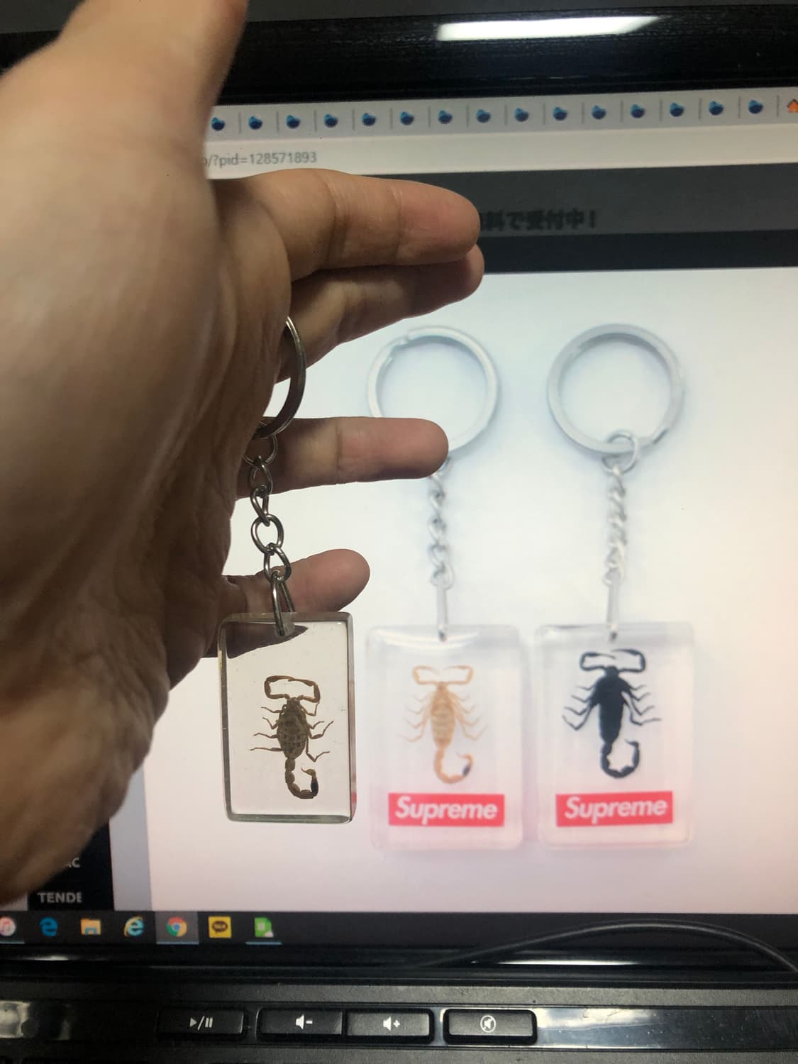 1. 실제 전갈 키홀더 키체인 투명 열쇠고리 상품이미지1