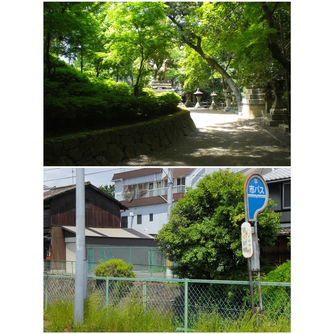 카시오 엑슬림 Z77 화이트 빈티지디카 상품이미지4