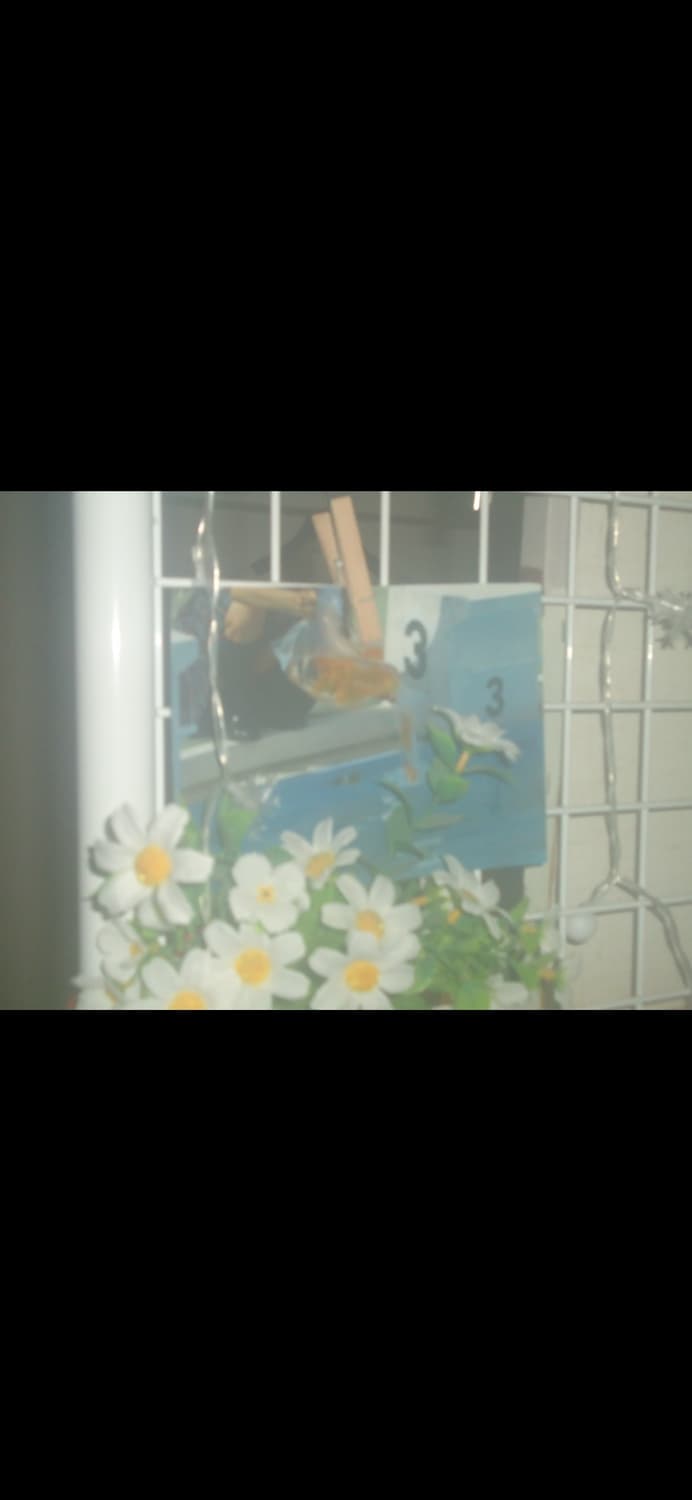 Sony DSC-W320 / 빈티지 디카 뽀용&쿨한감성 상품이미지3