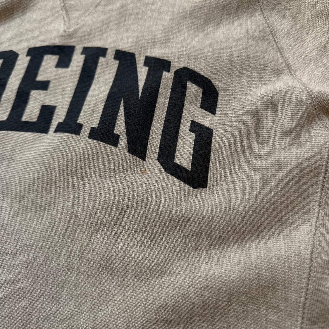 챔피온 리버스위브 스웻셔츠 보잉 상품이미지4