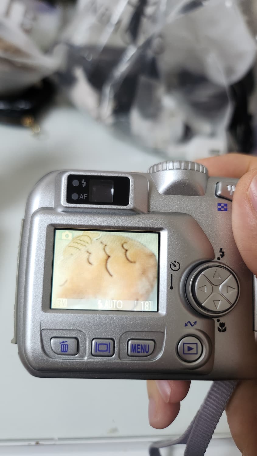 작례O)니콘 쿨픽스 3100 Nikon coolpix 3100 빈티지디카 상품이미지6