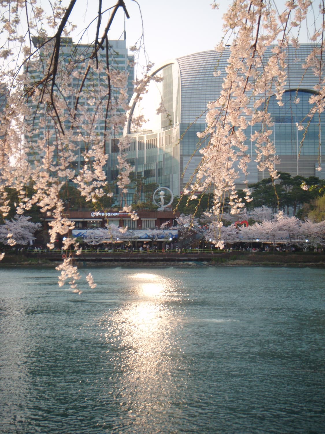 필름색감&초희귀!) FujiFilm Finepix Z100fd 디카 상품이미지2