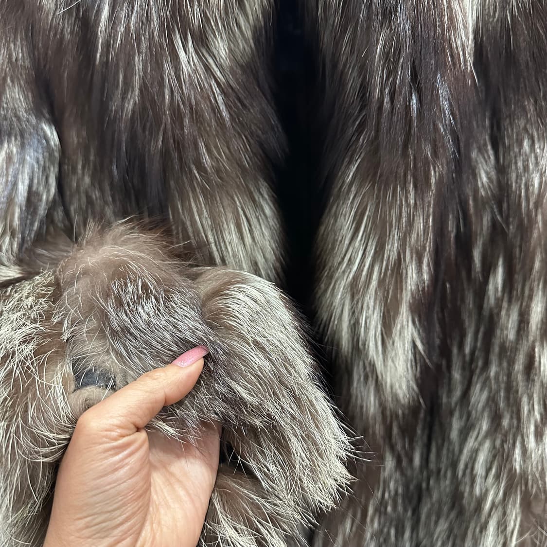 조세핀 브라운 실버 사가폭스 퍼자켓M 상품이미지6