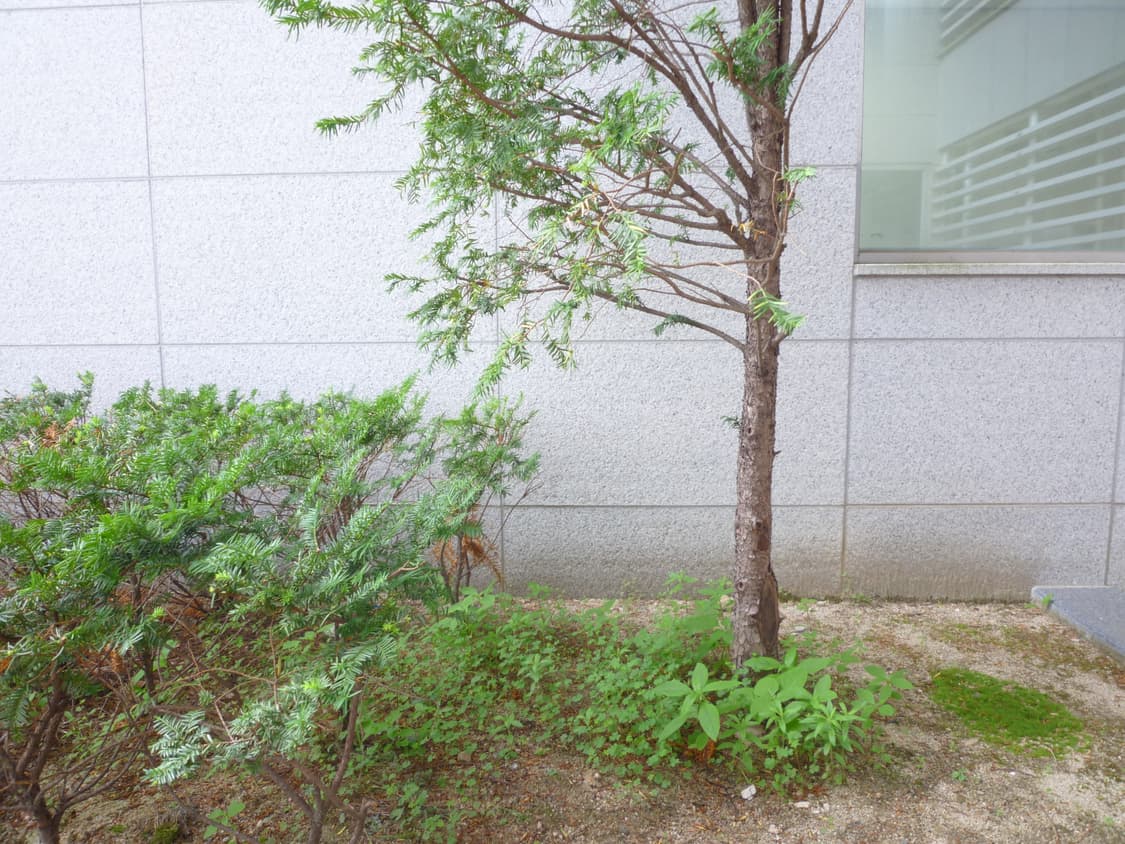 파나소닉 루믹스 DMC-FX60 카메라 [BCFN12533-0646] 상품이미지7