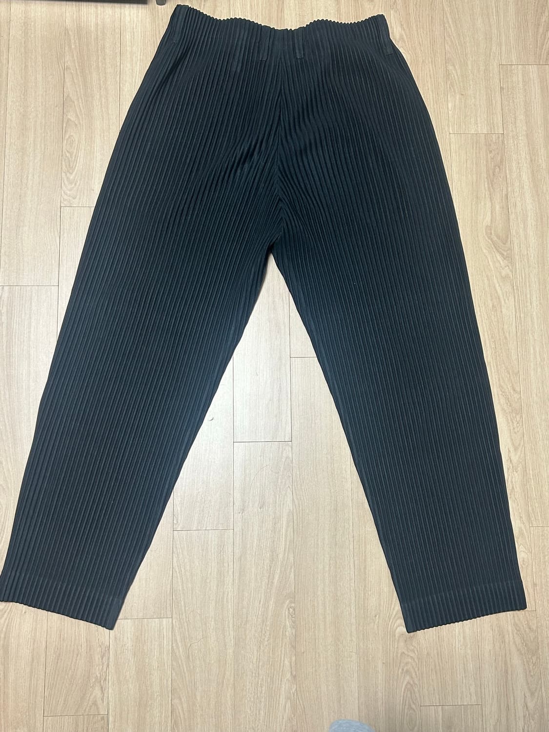 이세이 미야키 옴므 플리세 팬츠 상품이미지2