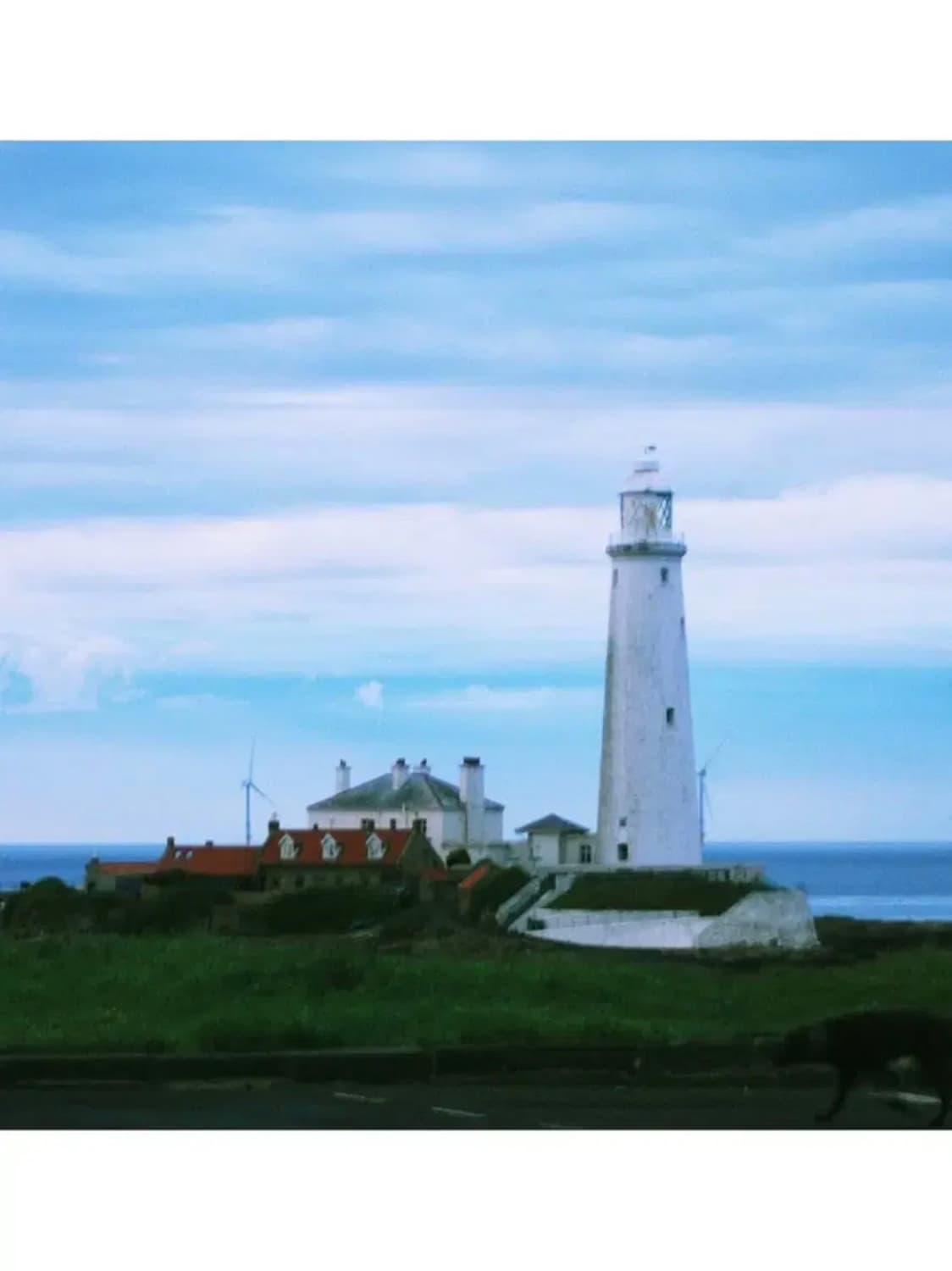 후지필름 파인픽스 jv100 디지털카메라 상품이미지9