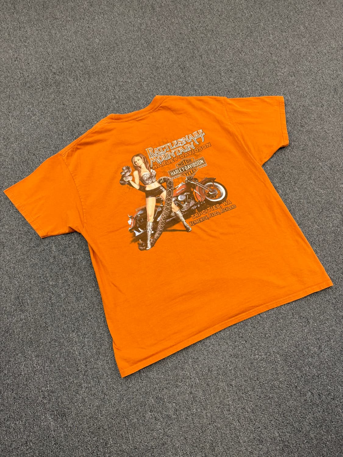 XL) 할리데이비슨 빈티지 스턴트 프린팅 반팔 티셔츠 상품이미지4