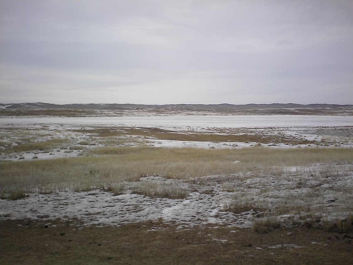 Toshiba BW10 Yellow 상품이미지9