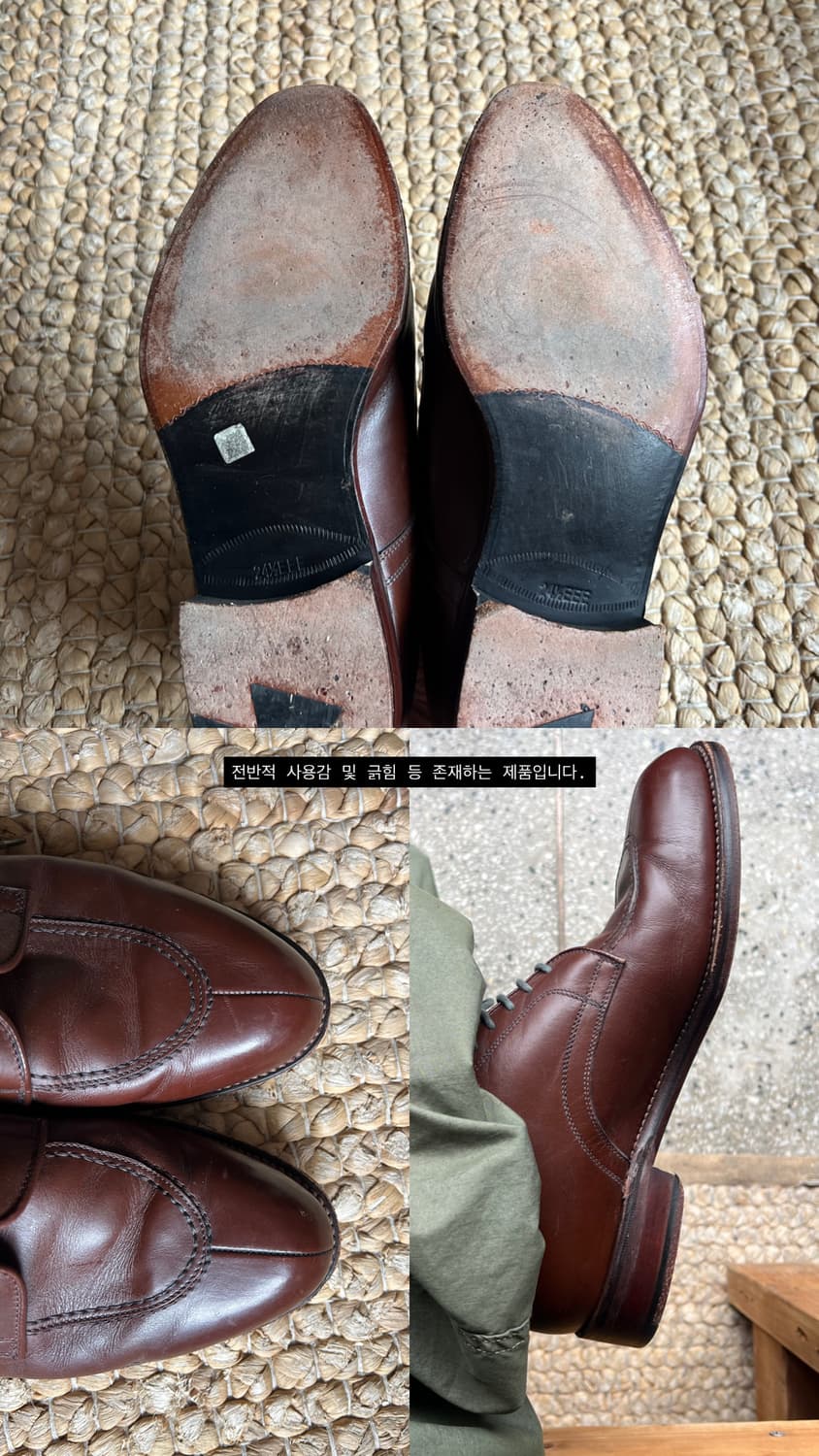 Regal 상품이미지6