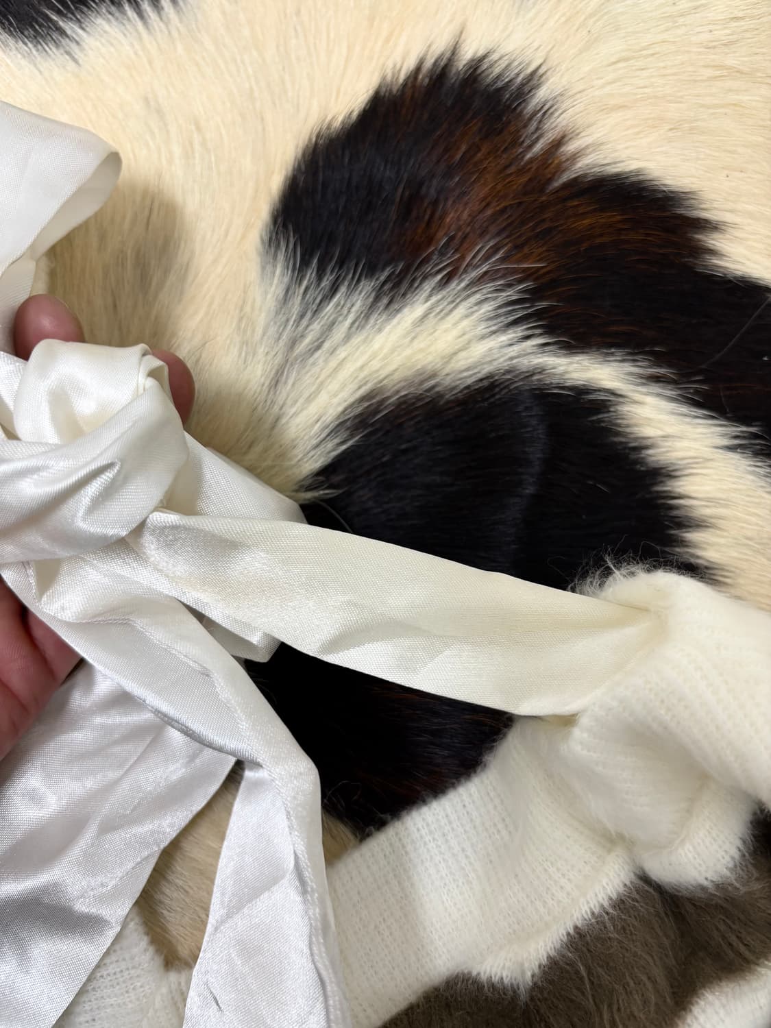 [Tralala]Hime-Gal pinterest Brown Stripe 상품이미지5