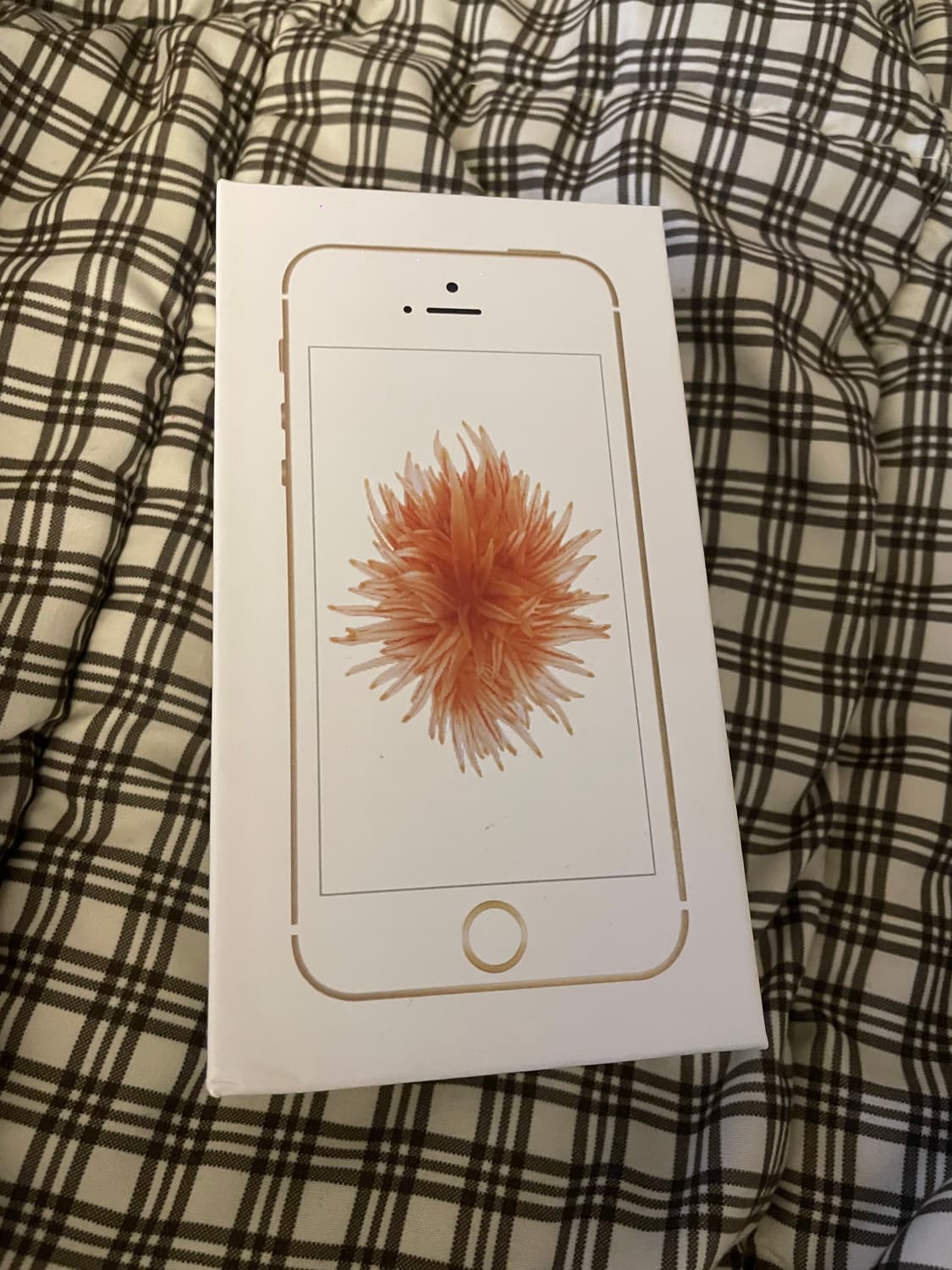 아이폰 SE1 무음카메라 스그 128기가 상품이미지8