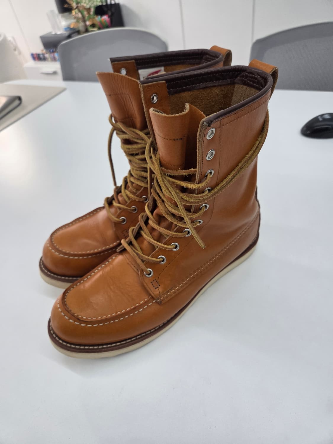 레드윙 9877 아이리시세터 9.5d 상품이미지5