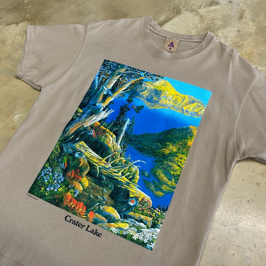 XL 나이키 ACG 프린트 반팔티 상품이미지1