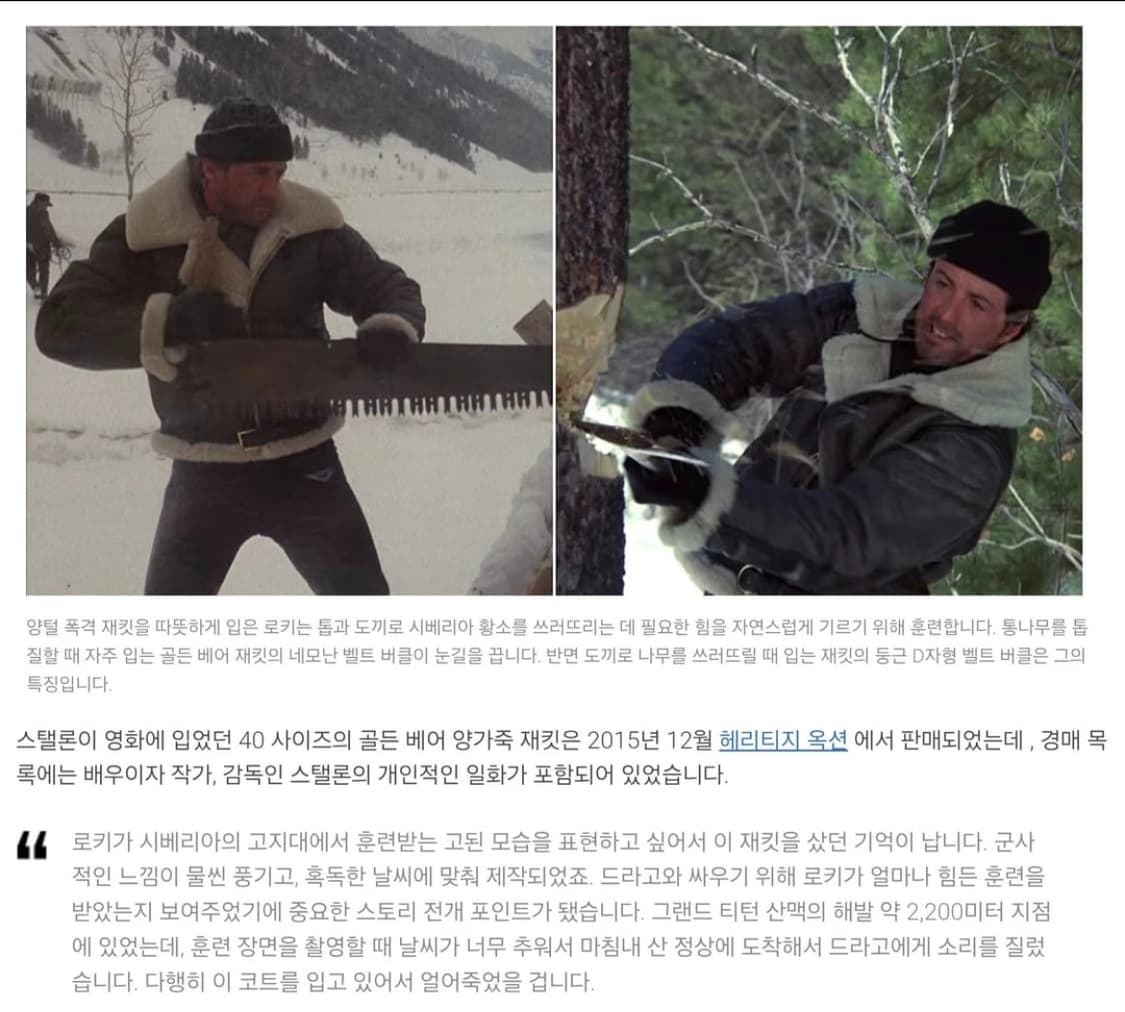 골든베어 B-3 시어링 무스탕 자켓 상품이미지10