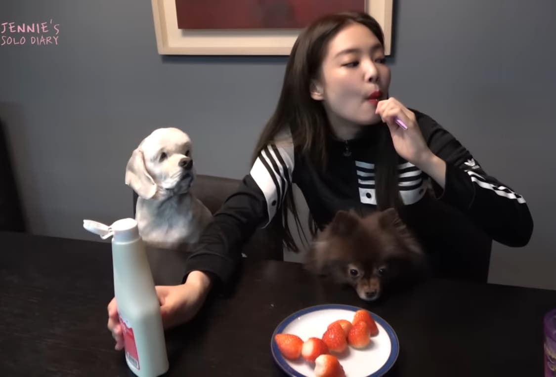 아디다스 트택탑 져지 제니 착용 극레어템 상품이미지3
