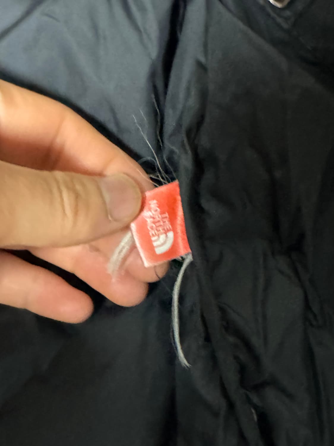 노스페이스 Summit Series 900 LTD눕시 패딩 자켓 상품이미지8