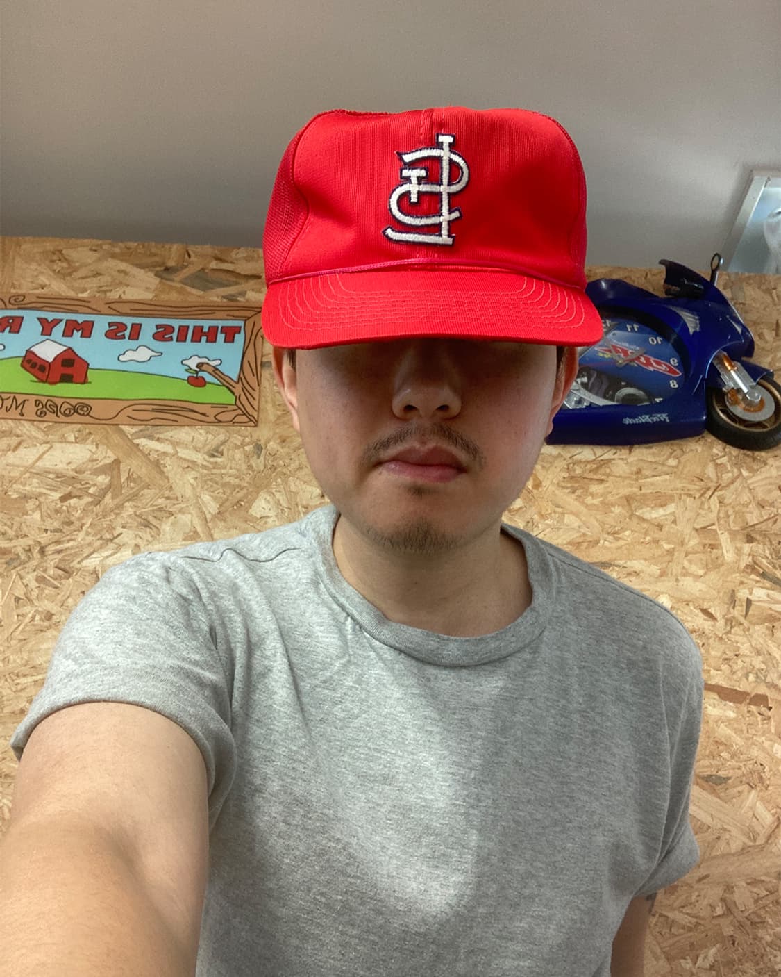 MLB St. Louis Cardinals Bassball 캡 상품이미지7