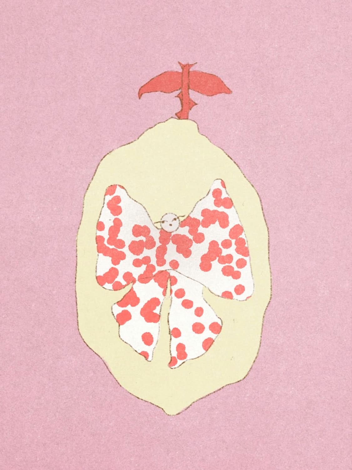 개인결제창 상품이미지1