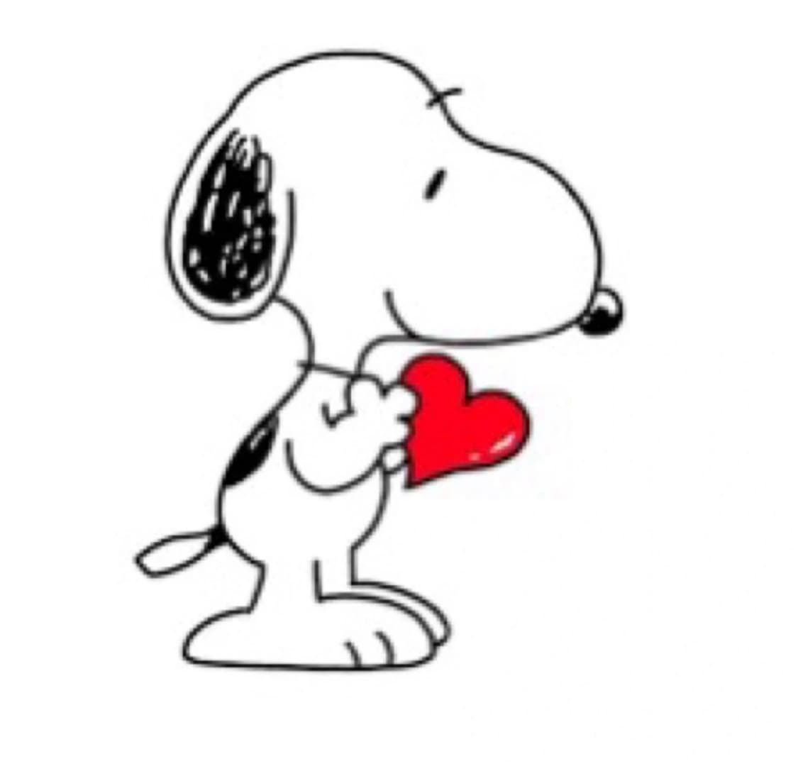 핏좋은 ksubi 슬림핏 블랙진 30 상품이미지1