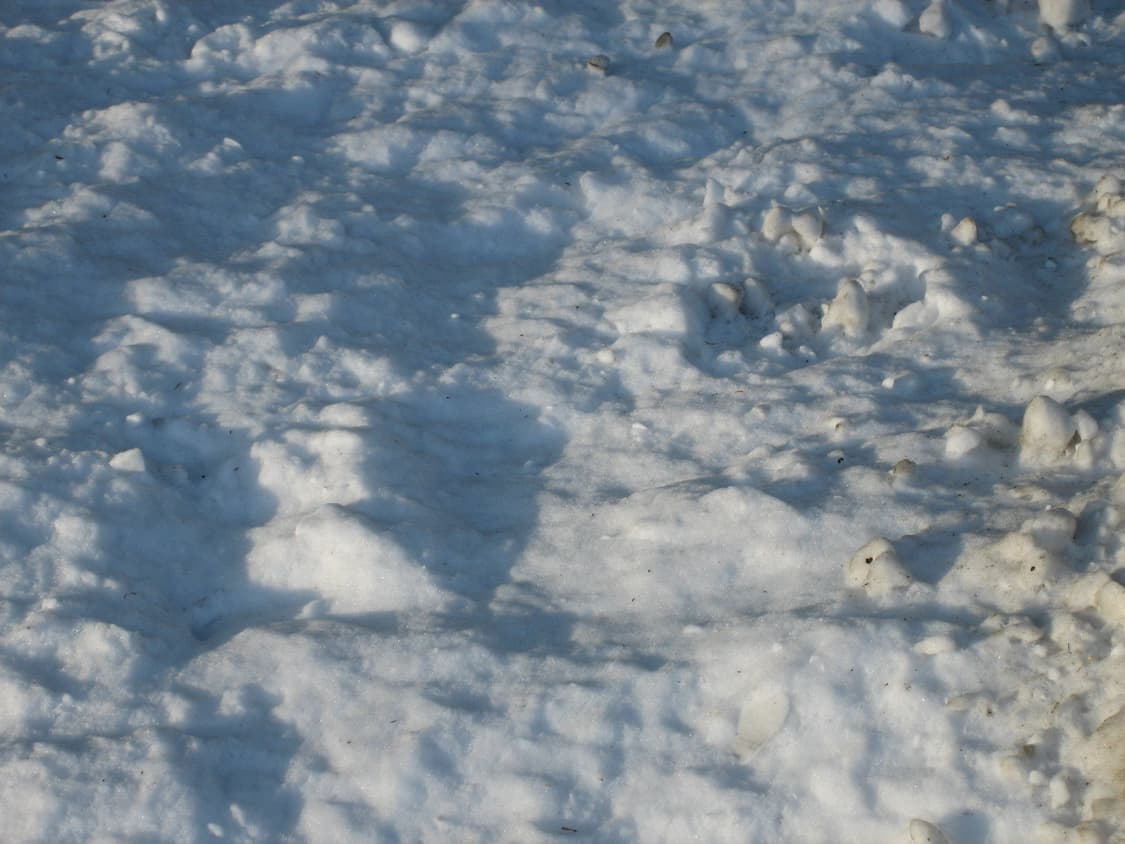 아이유 디카로 유명한 캐논 IXY 55 디카! (작례O ) 상품이미지9