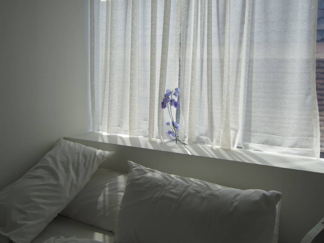 캐논 익서스 310hs 핑크색상/작례O 상품이미지10