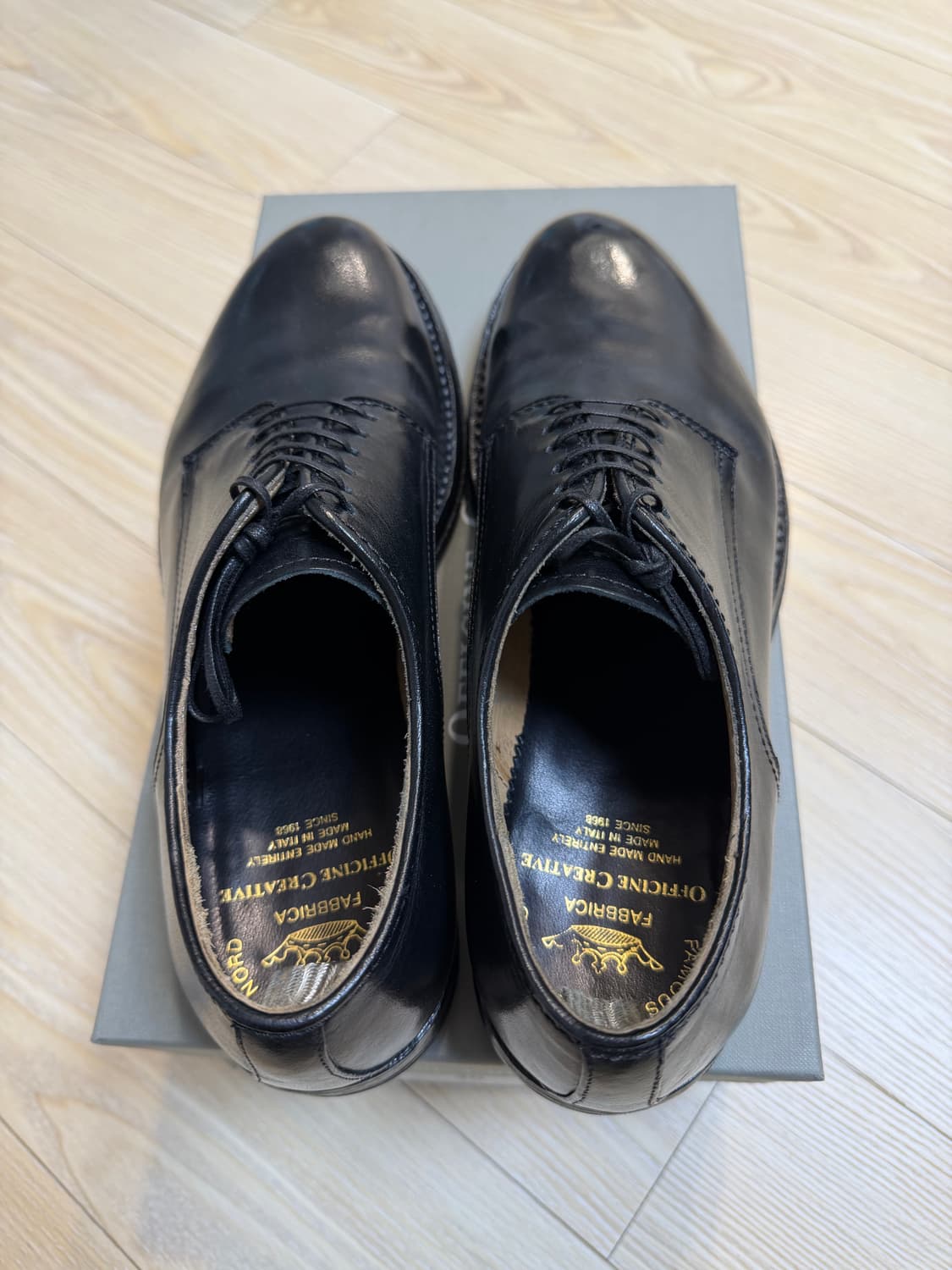 [40] 오피치네 크레아티베 아나토미아012 상품이미지3