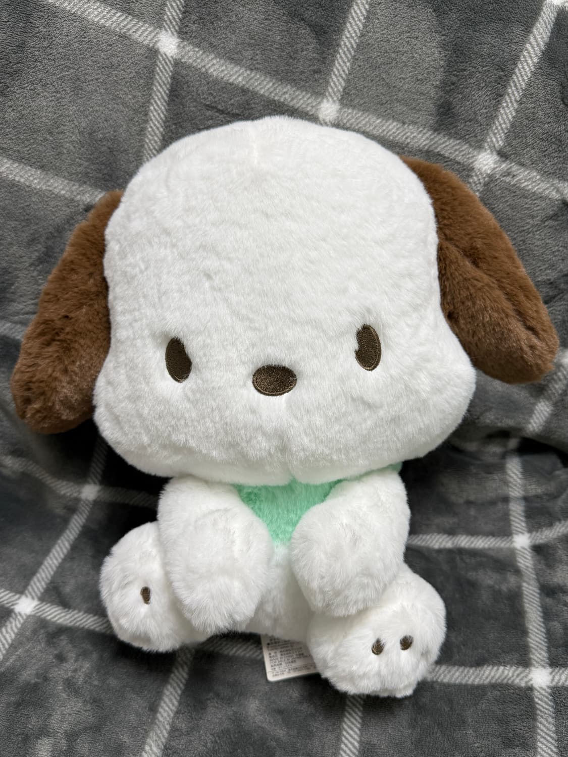 산리오 포차코 갸우뚱 BIG 인형 상품이미지1