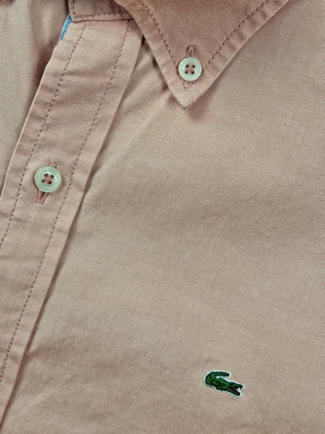 라코스테 베이직 코튼 셔츠 ( 100 ) / 11078 상품이미지8