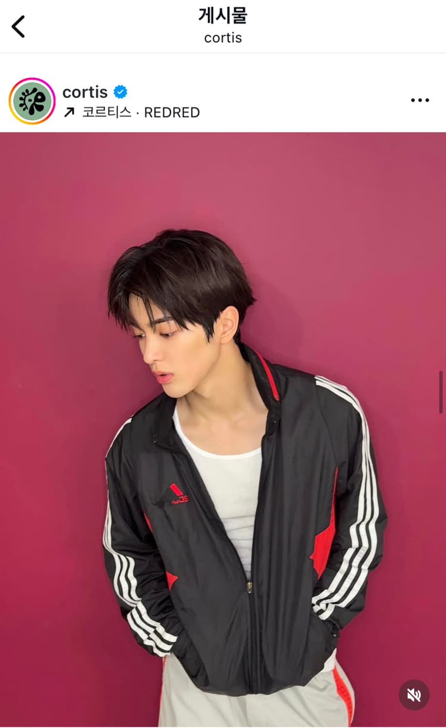아디다스 빈티지 올드스쿨 3stripes 져지 검흰빨 상품이미지3