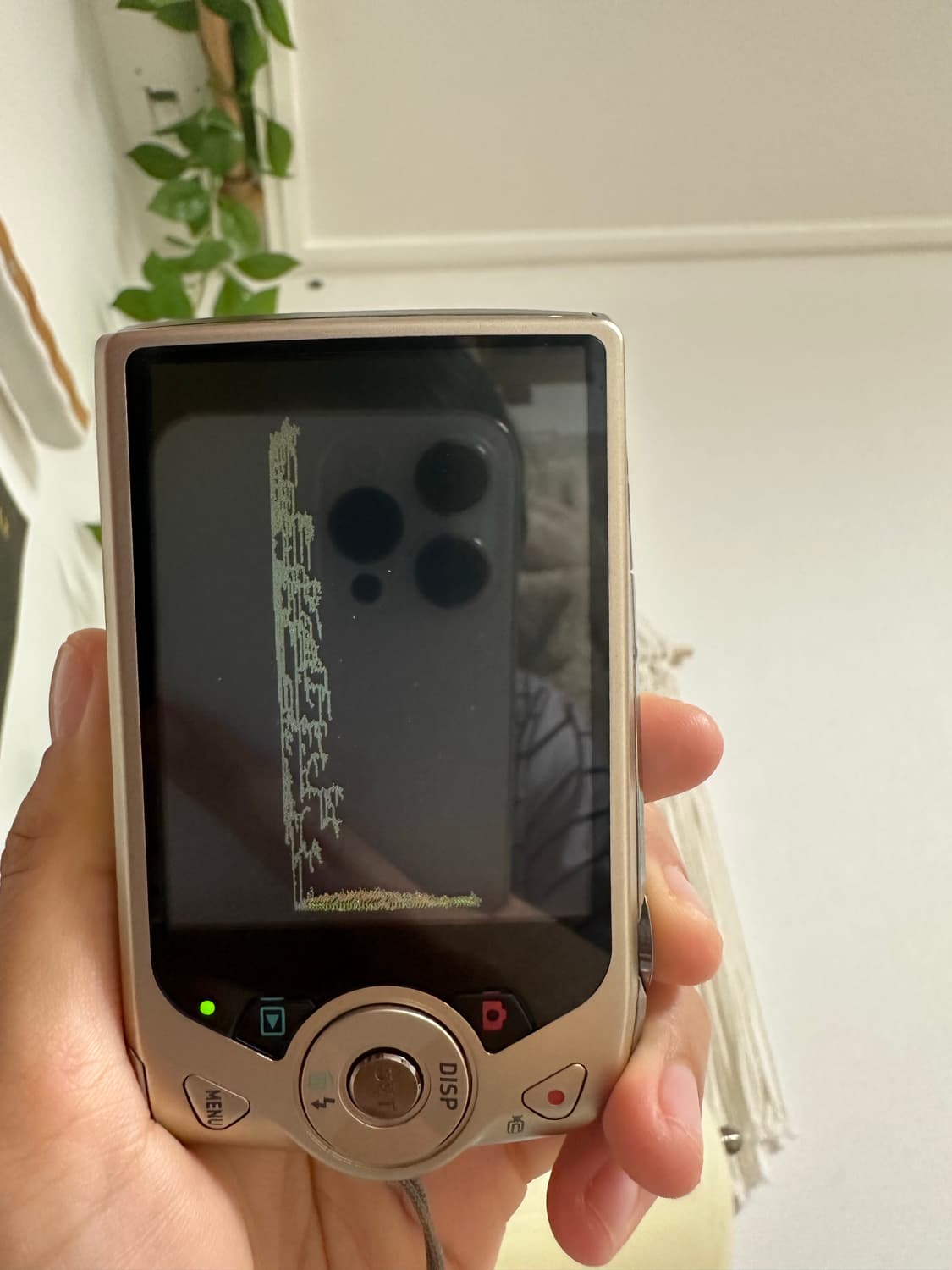 카시오 엑슬림 z2300 디카/디지털 카메라 상품이미지4