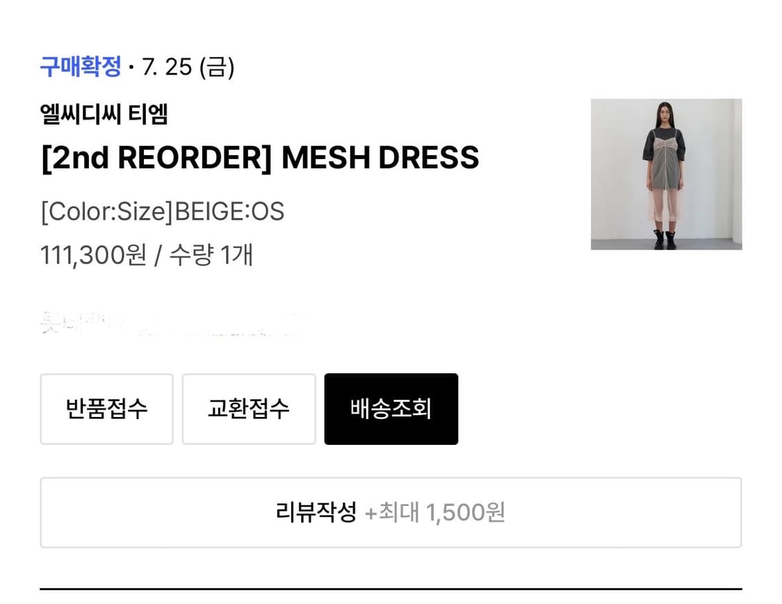 LCDC Mesh Dress - beige 상품이미지6