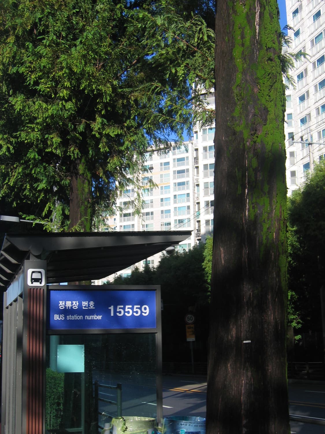 캐논 ixy500 ixus500 상품이미지10