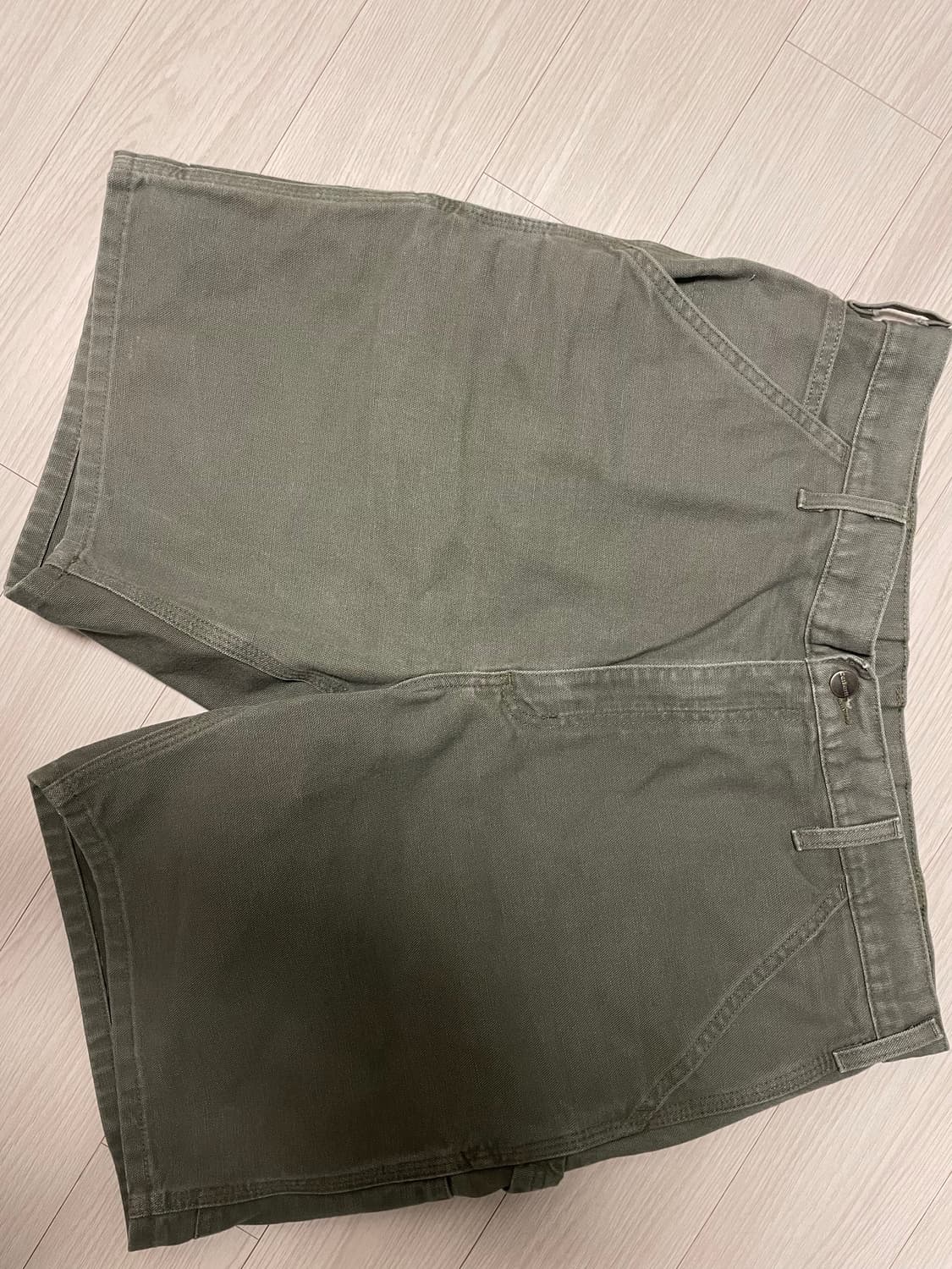 칼하트 카펜더 숏팬츠 상품이미지2