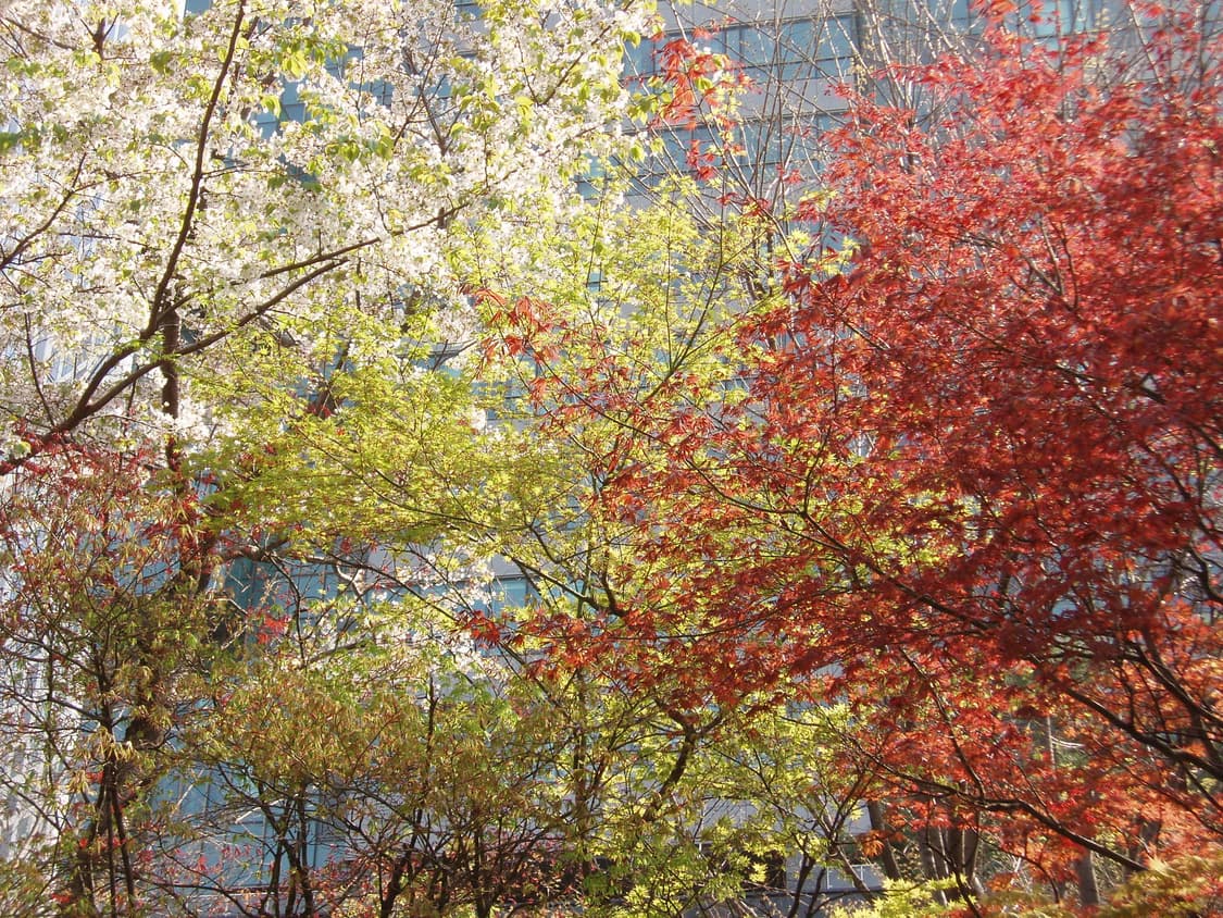 올림푸스 뮤 500 Olympus mju 500 (작례 있어요!) 상품이미지9