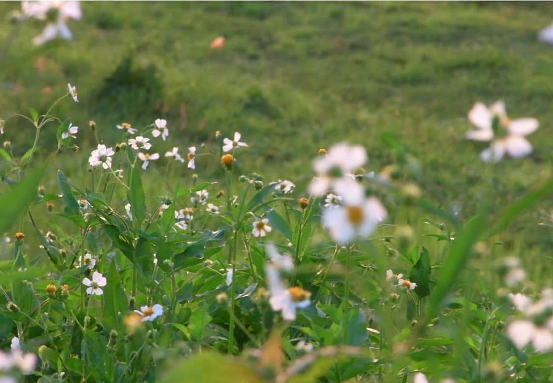 리코 CX2 블랙 🖤 클래식 감성 + 강력 줌 디카 💕 상품이미지4