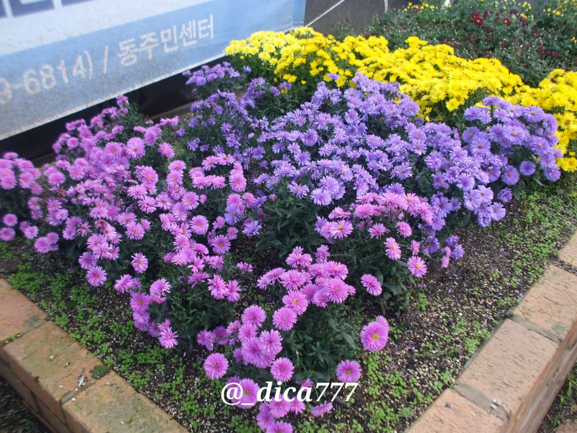 후지필름 파인픽스 A800 디카 상품이미지9