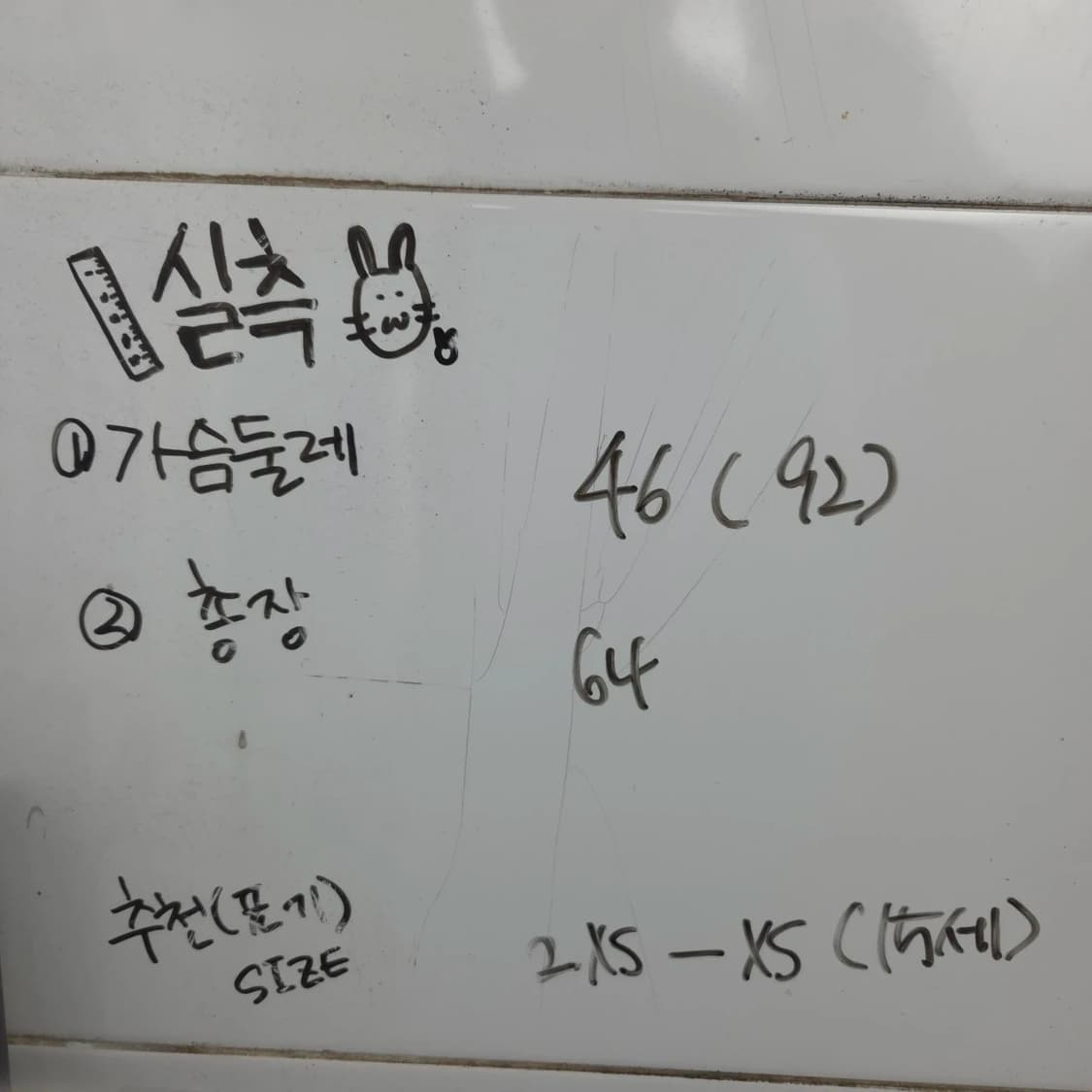 성인 2XS-XS(키즈 15세) 닥스 체크 남방 카라 반팔 티셔츠 상품이미지6
