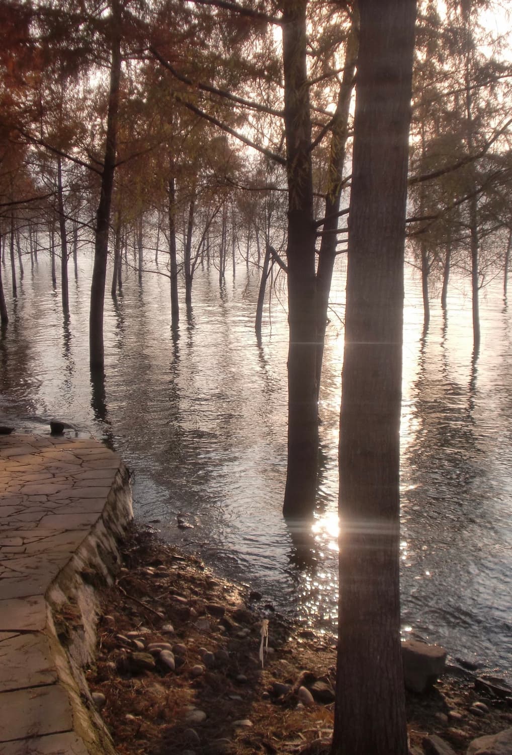 (살구핑크!) 카시오 엑슬림 Z270 | Casio Exilim Z270 상품이미지4