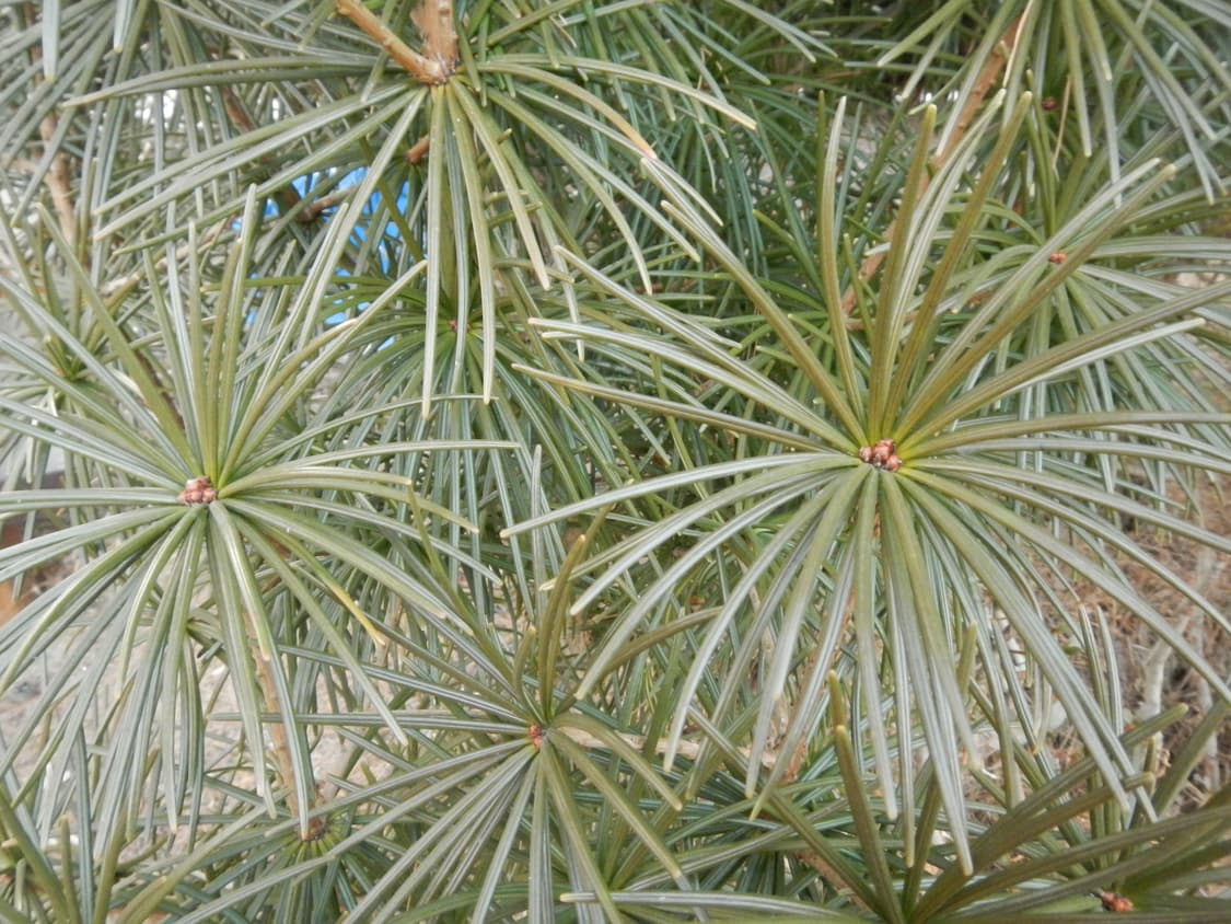 작례o) 니콘 쿨픽스 aw100 상품이미지3