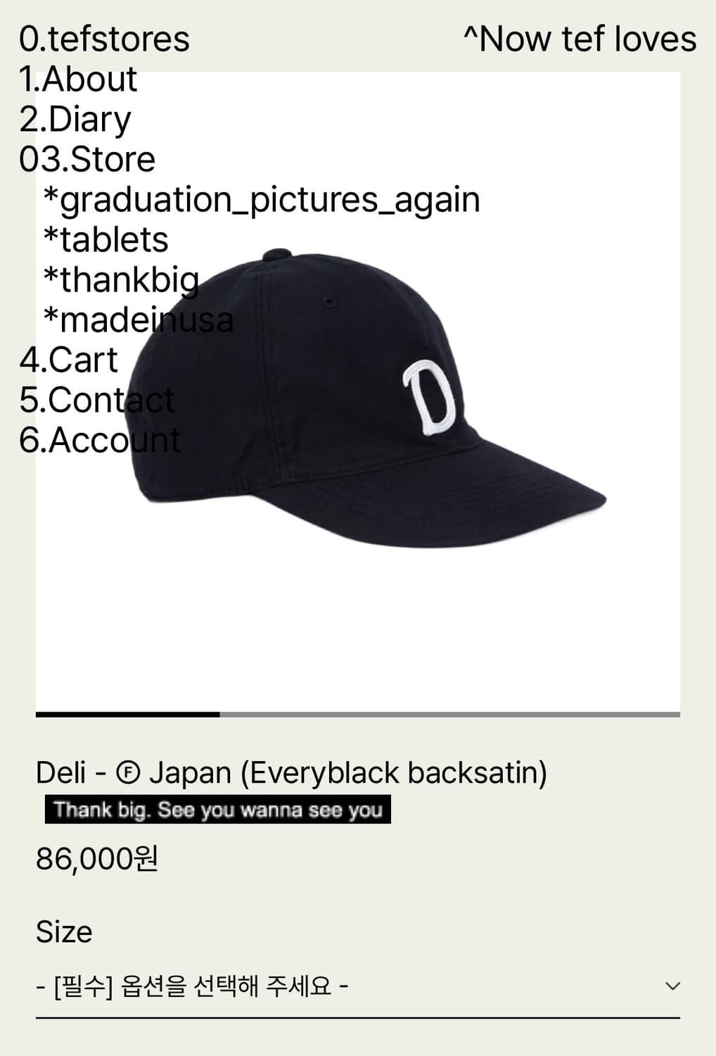 테프스토어즈 Deli 볼캡 M 사이즈 상품이미지1