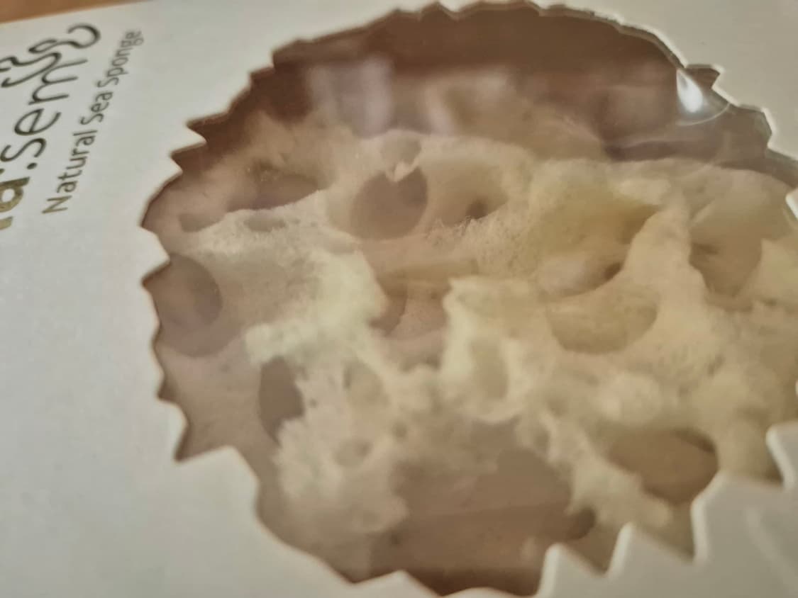 그리스 천연 해면_바디용(샤워/목욕) 상품이미지1