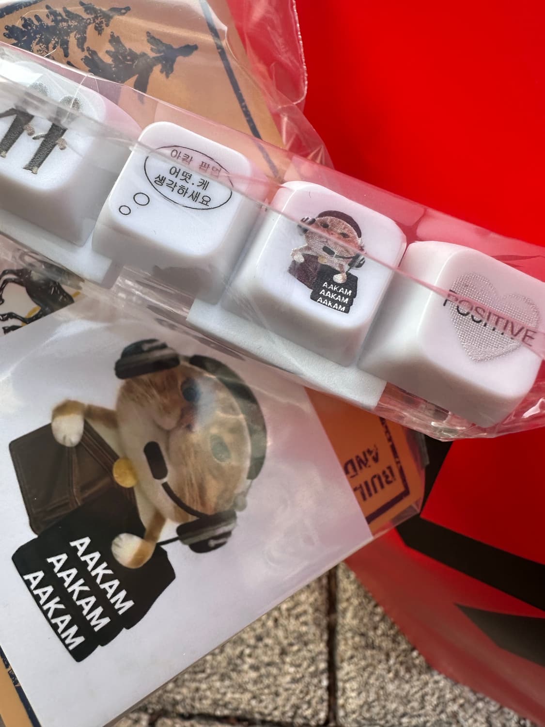 아캄 크로스 라인스톤 후드집업 아이스 블루 2 상품이미지2