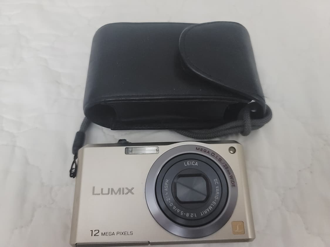 Leica) Panasonic Lumix FX100  상품이미지1