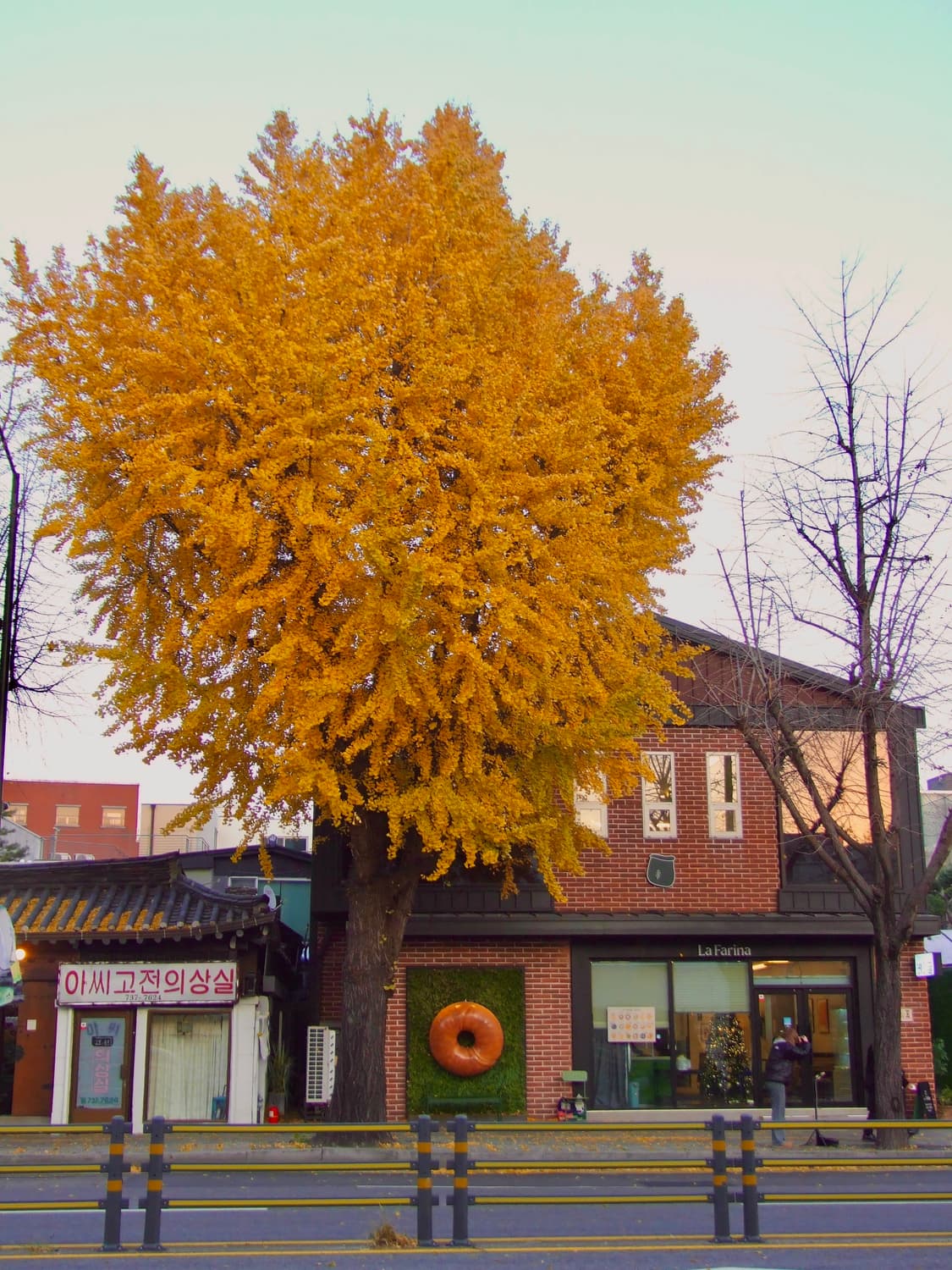 작례 ⭕️후지필름 FinePix S6500fd 카메라  상품이미지5