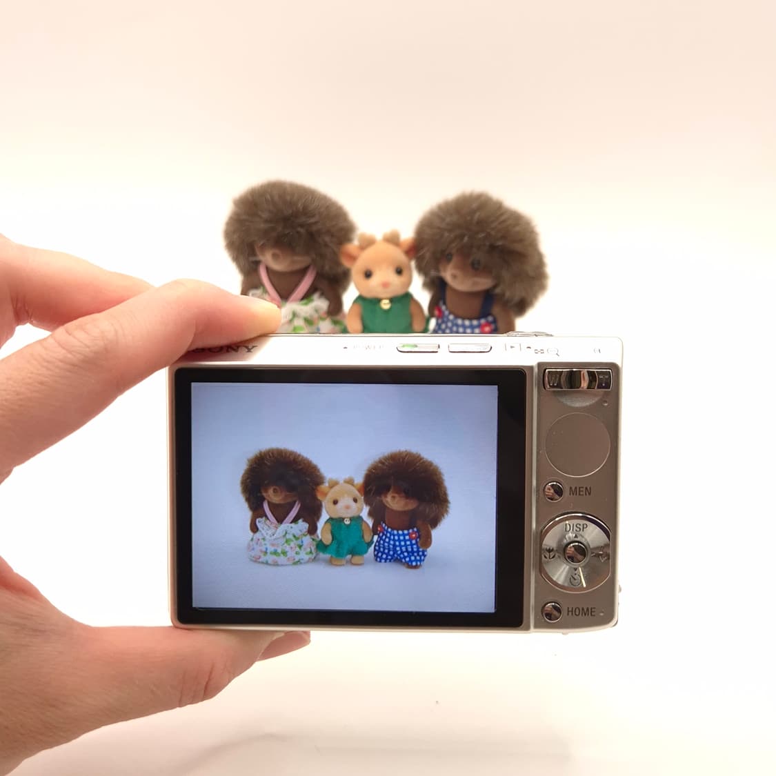 소니 사이버샷 DSC-T100 실버 ✨  상품이미지2