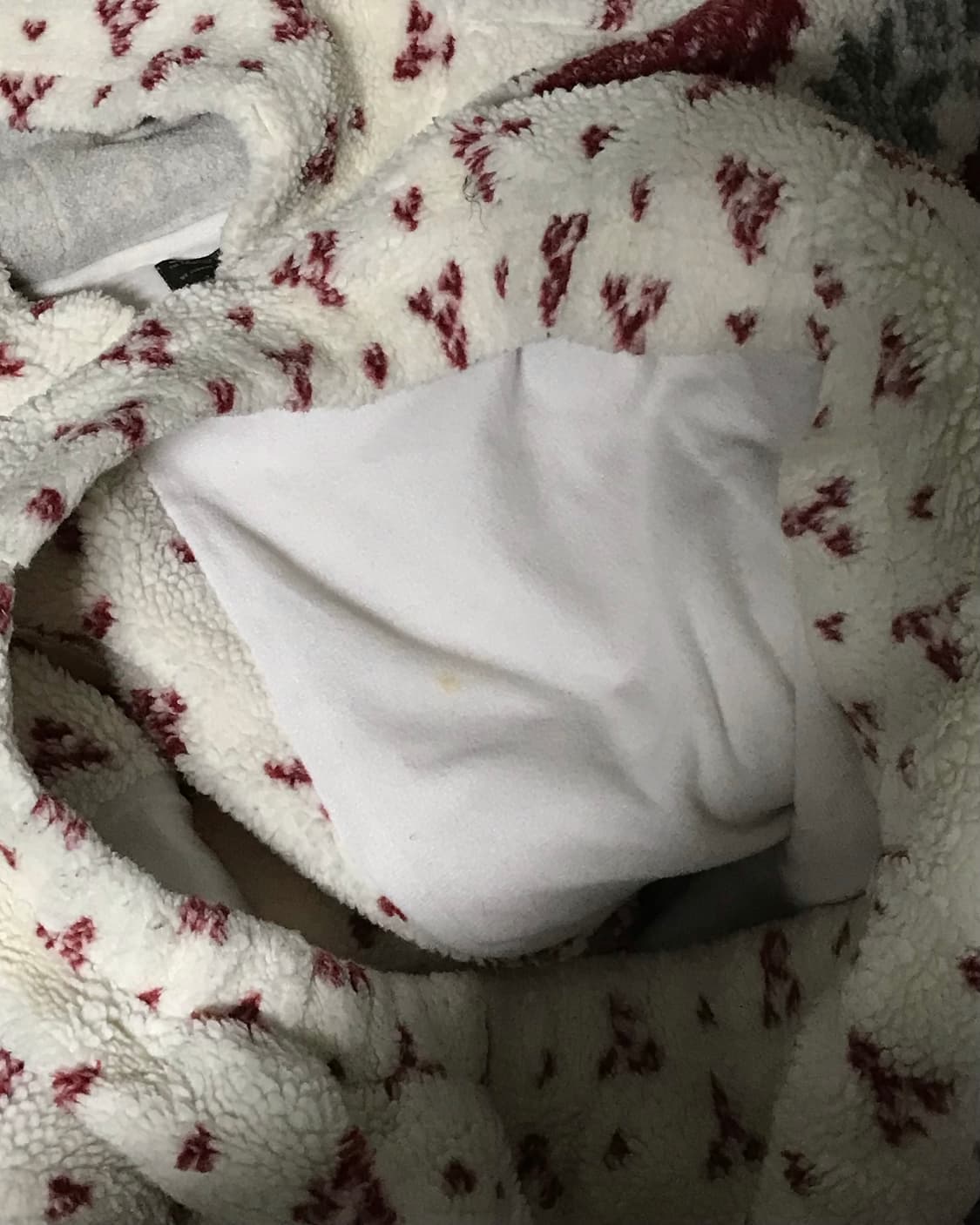 노르딕 눈결정 모리걸 플리스 후드 자켓 상품이미지6