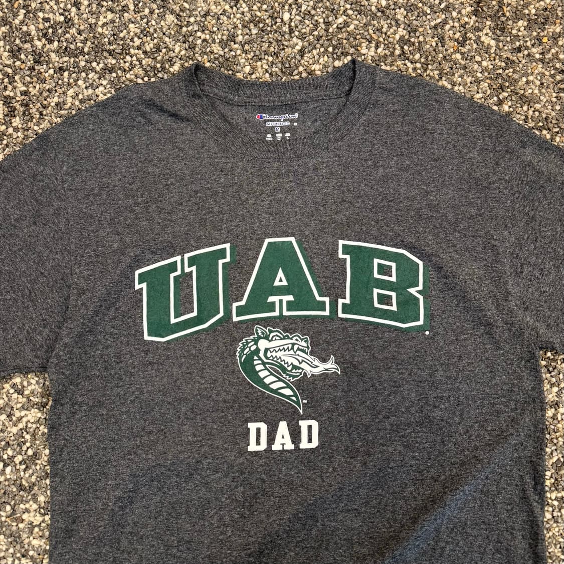 챔피온 UAB 블레이저스 티셔츠 (M)   상품이미지2
